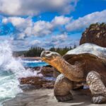 Los 5 pueblos costeros del Caribe que están reinventando el turismo de bienestar en el 2026 »